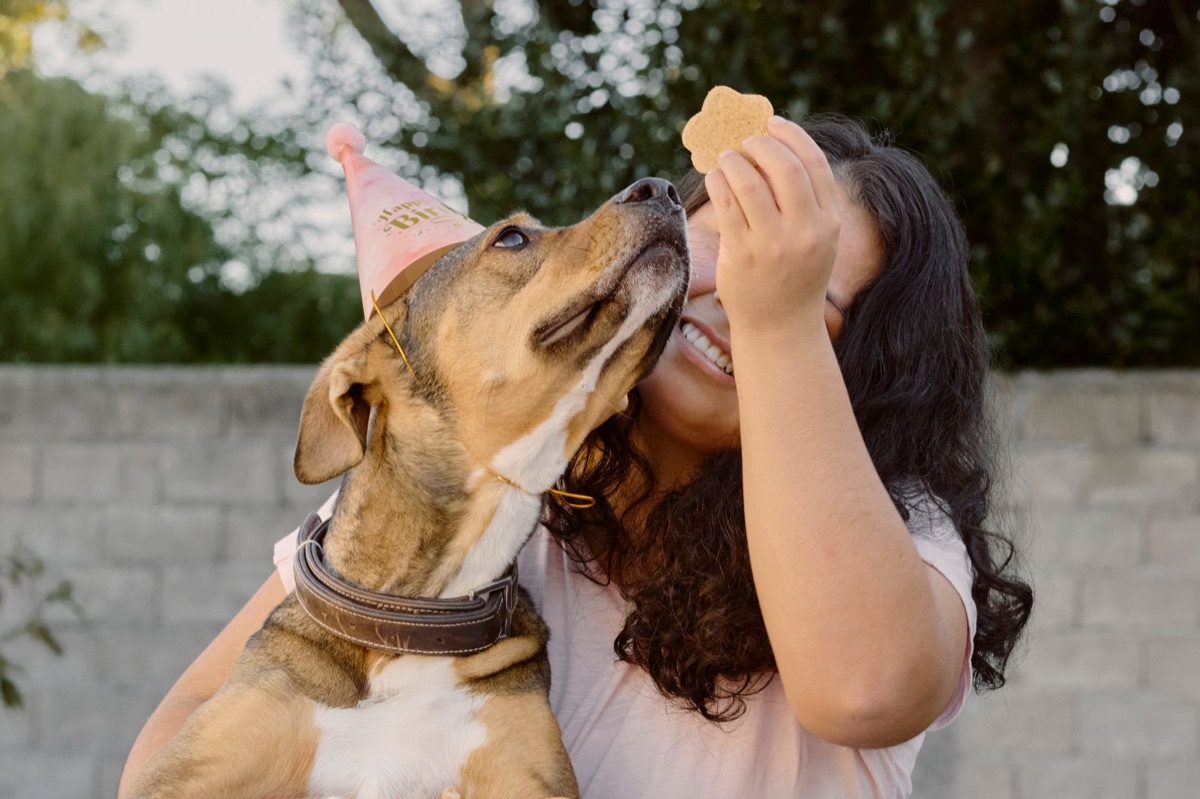 premios para perros en un cuenco