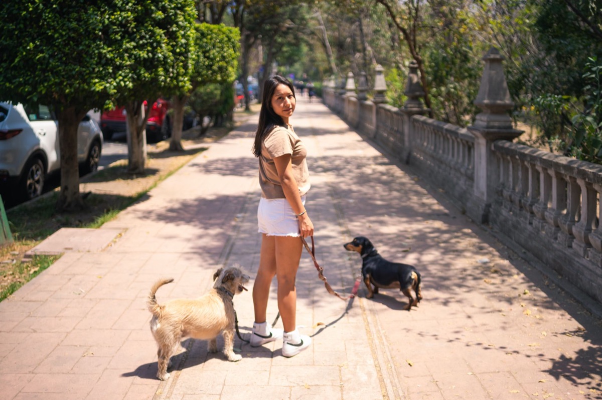 Una mujer arrodillada en el parque manteniendo contacto visual con su perro para calmarlo.