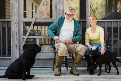Costos veterinarios perro viejo: mejores consejos para su salud