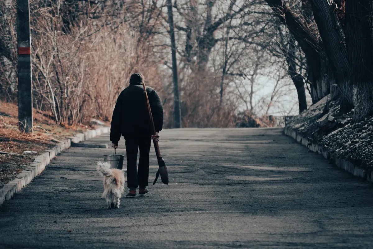 A man with a dog walking down a tree-lined street in fall, carrying a bucket.