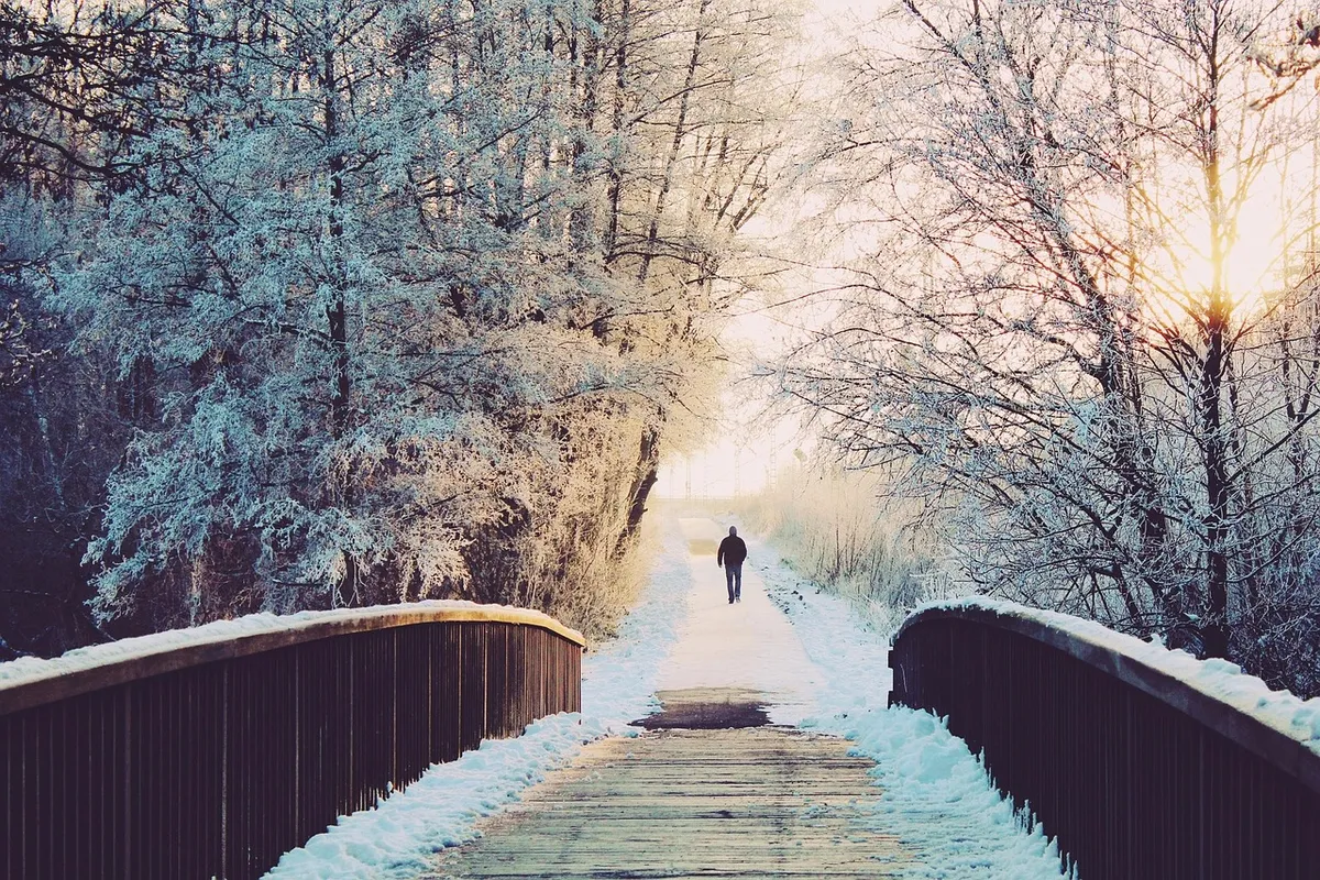 man, bridge, lonely, to stroll, walk, winter landscape, winter, landscape, snow, snowy, wintry, winter magic, evening sky, cold, frozen, frost, winter's day, wh