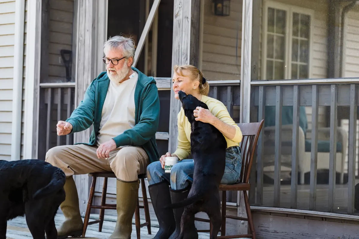 A senior couple enjoys a moment with their dogs on the porch, expressing joy and companionship.