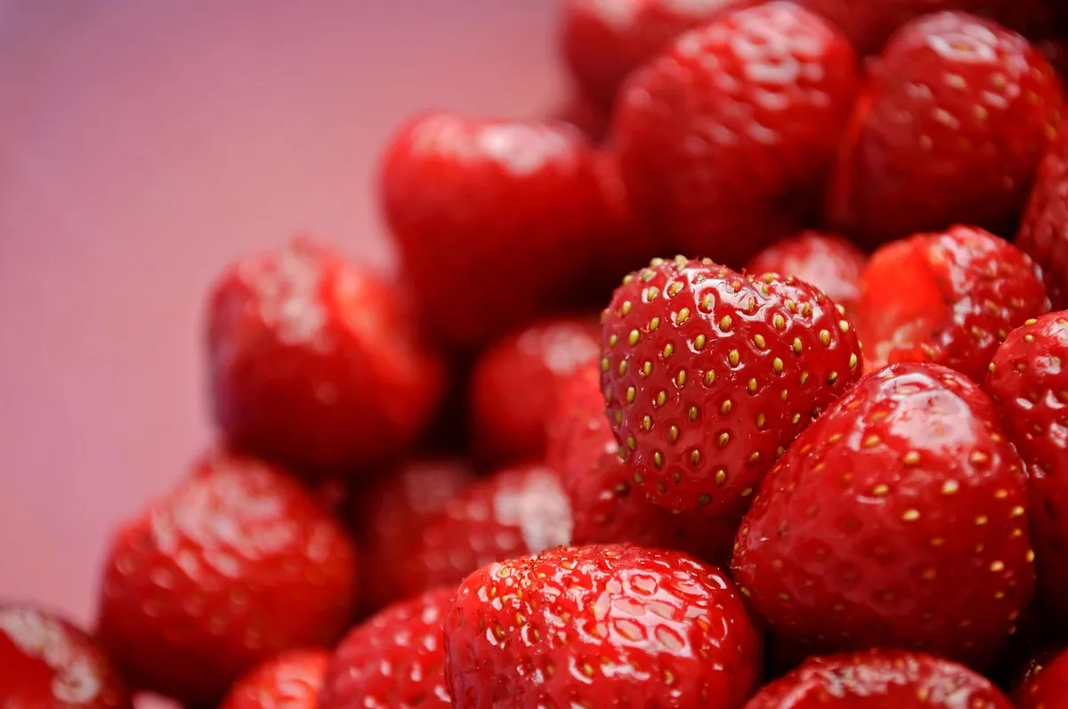 fruit, strawberry, dessert, food, juicy, health, diet, strawberry, strawberry, strawberry, strawberry, strawberry