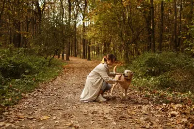 Mejores consejos cuidado salud perro primavera otoño con cambios