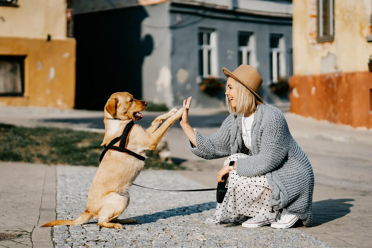 girl, dog, pet, friendship, companion, owner, caucasian, blonde, caucasian female, blonde female, canine, domestic dog, nature, doggy, happy, animal, love, woma