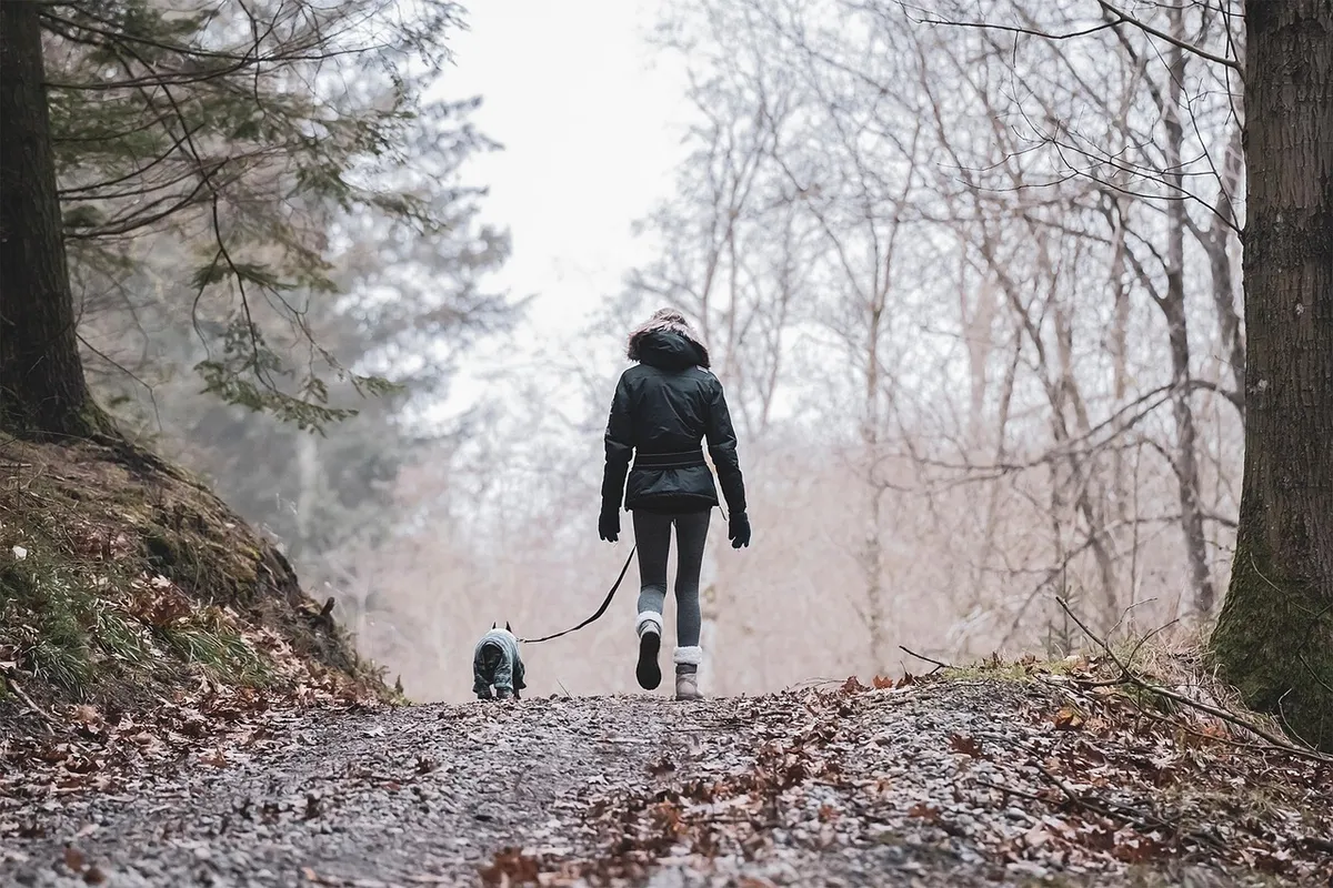 nature, hike, pet, woman, activity, forest, trees, animal, dog