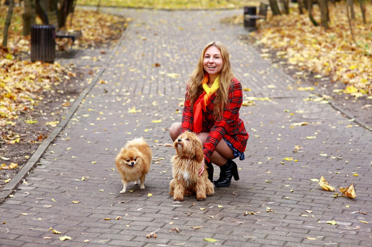 Hund mit Halter in Park