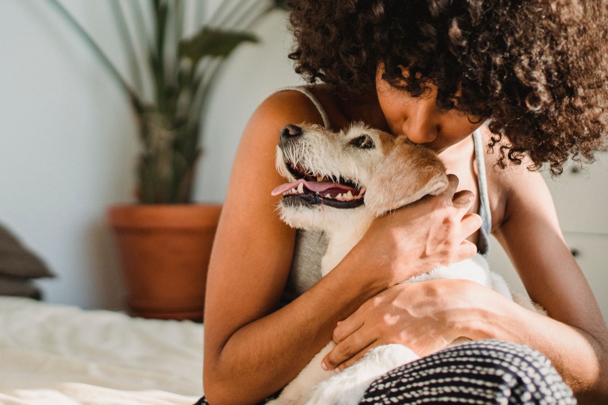 cane esibisce affetto verso proprietario