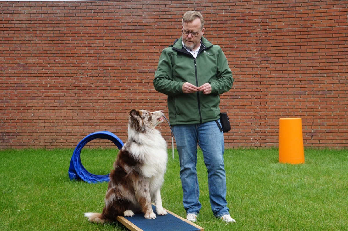 hond trainen